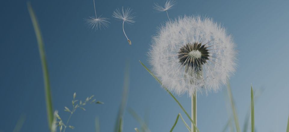 中国·太阳集团tyc8722(股份有限公司)-Official Website